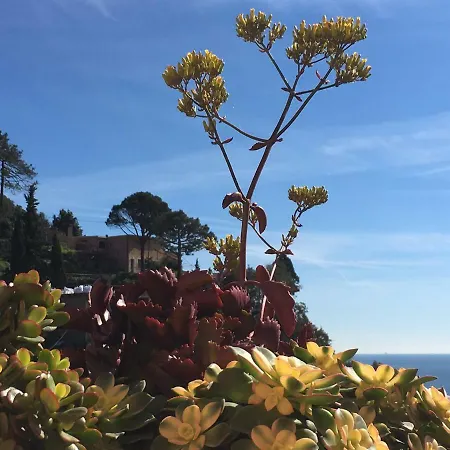 Cinqueterreblu Bougainvilleap Apartman