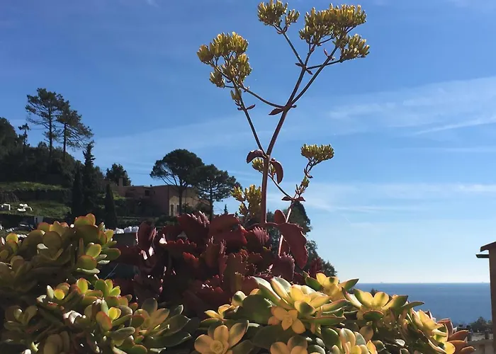 Cinqueterreblu Bougainvilleap 아파트
